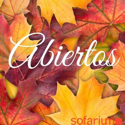 abiertos 31 de octubre