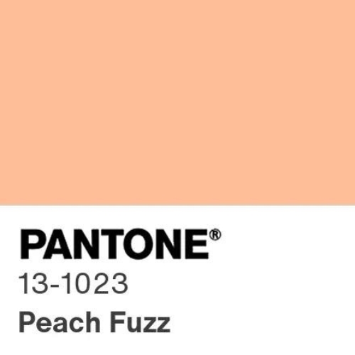 pantone 2024